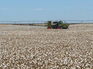 Dia Mundial do Algodão: Fendt contribui para expansão do setor algodoeiro com tecnologia de ponta no campo