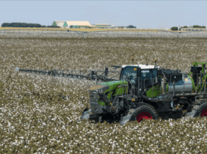 Bicudo-do-algodoeiro: pulverização é etapa estratégica no combate à praga que pode comprometer mais de 70% da produção da fibra